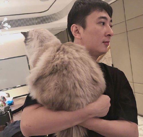 网红小狗黑料视频大全