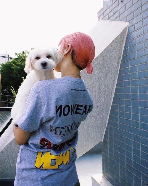 网红玩偶姐姐 黑料,真相与争议并存