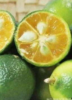 网红小金桔黑料,真相与争议并存